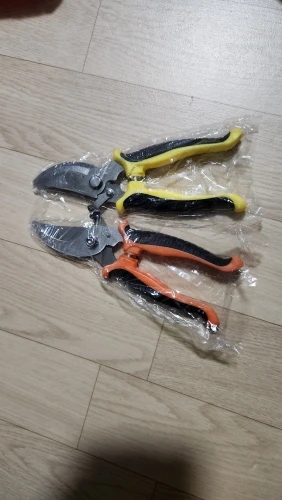 리뷰 사진