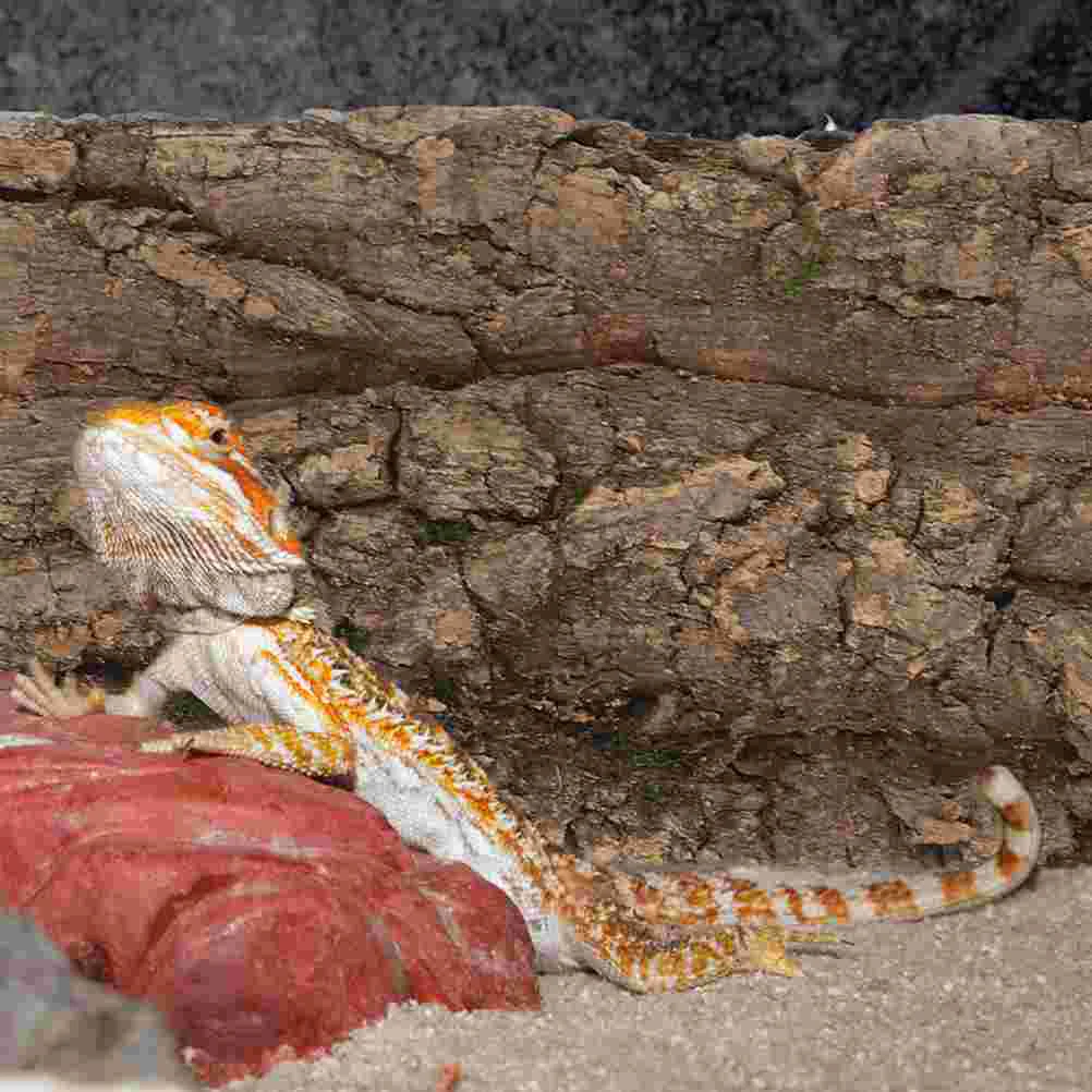 

Pet Fish Tank Landscaping Aquarium Background Hideout Frog Terrarium Accessories for Reptile Boards Bark Cork Reptiles