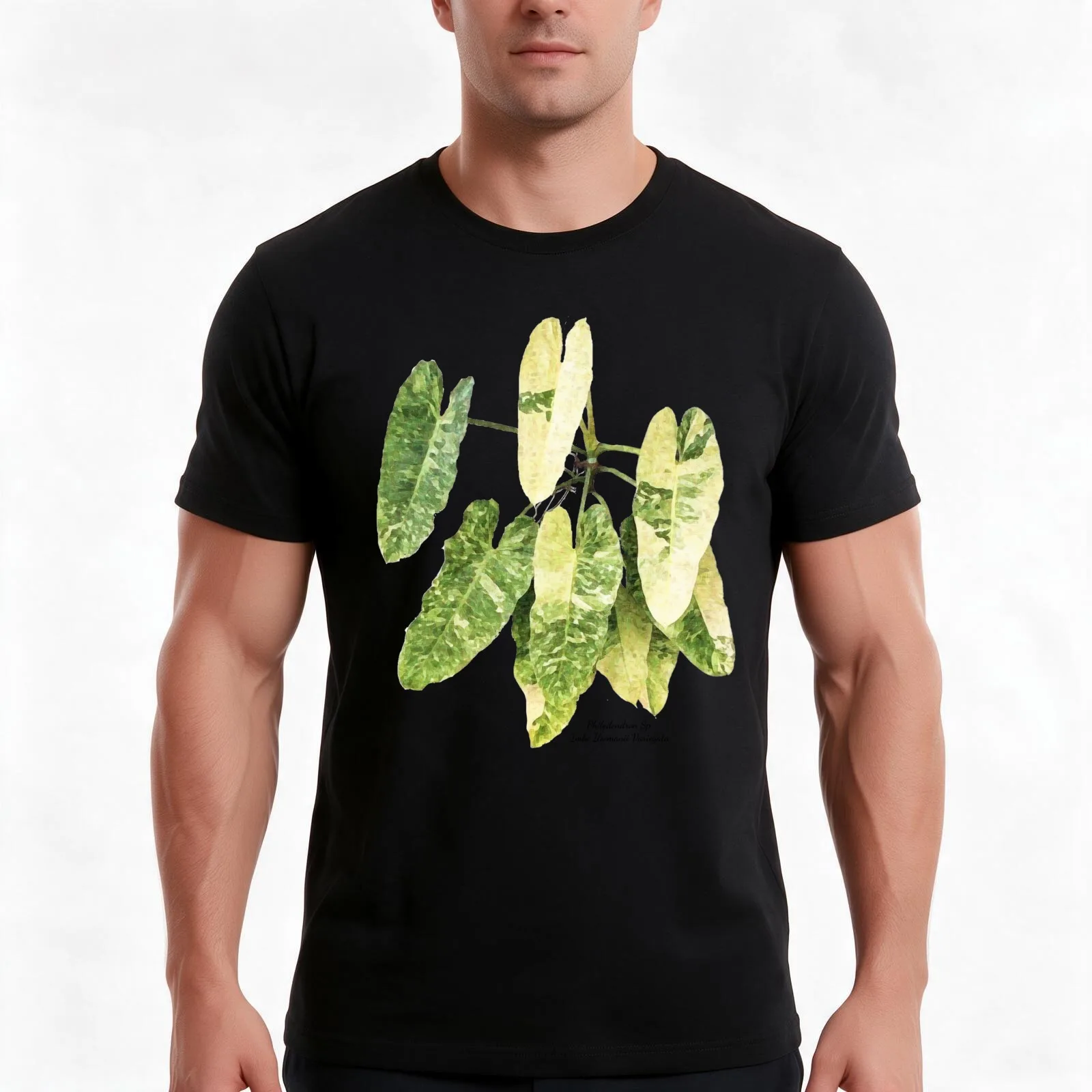 Philodendron Sp. Imbe Ilsemanii Variegata T-Shirt, Summer Casual Cotton Tee, Oversized Streetwear Tops, Vintage Graphic Print