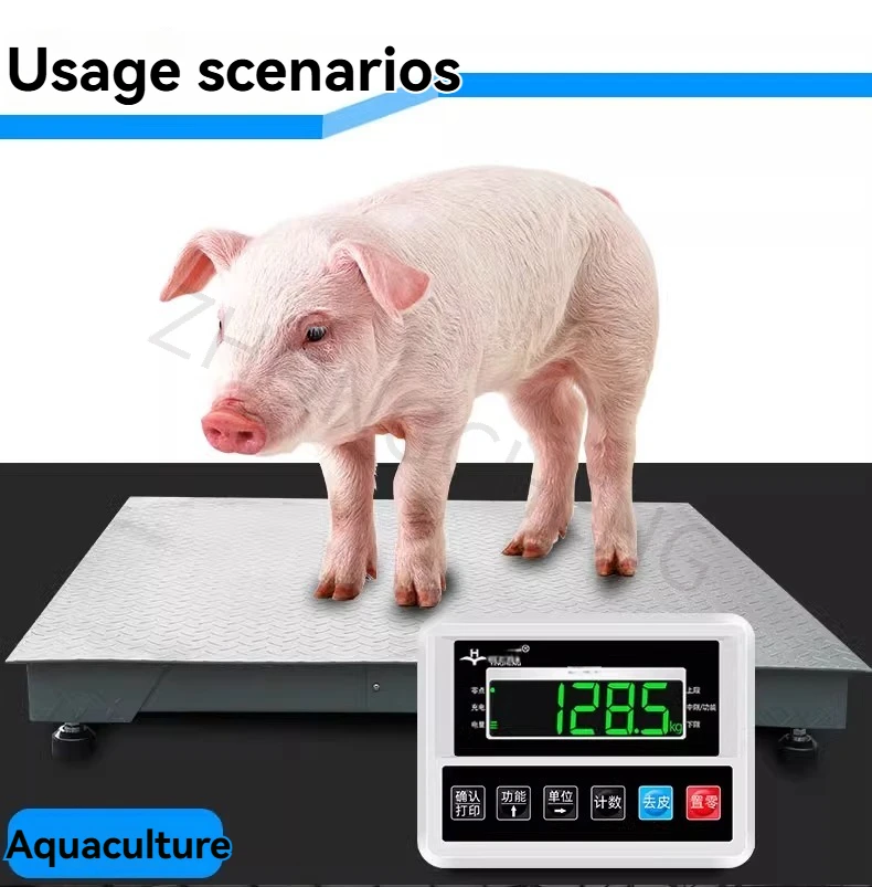 Electric platform scale, 1-ton and 3-ton capacity, stainless steel platform scale (suitable for livestock weighing).