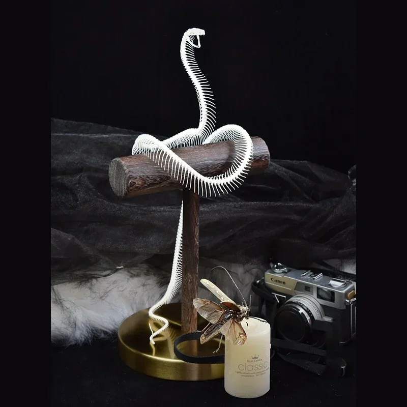 2013 Serpentine Skeletal Sculpture Wooden Stand Display Gothic Cabinet Curio Mystical Reptile Bone Artifact Anatomical Crafted