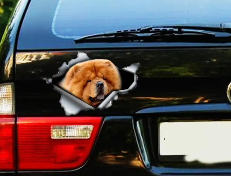 Red Chow Chow sticker , car decoration, Red Chow Chow decal, dog sticker, dog decal