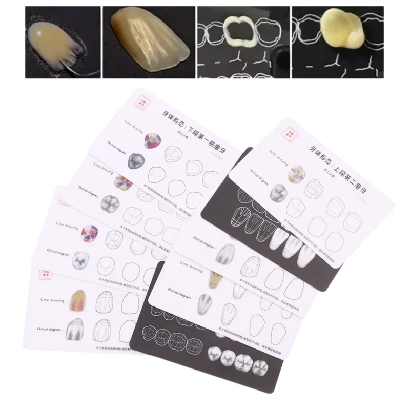 1box Dental Tooth Morphology Practice Card Resin Stacking Training Pad Dental Lab Teaching Tool Dental Students Auxiliary Tool