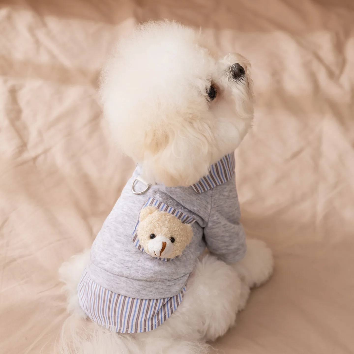 Winter Holiday Two-Piece Sweatshirt Set for Dogs Warm Clothing for Small Dogs Bichon Frise Shirt Collar Pullover with Leash Loop