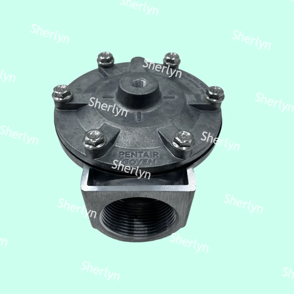 GOYEN Pulse Valve RCA35T RCA32T 1.5-inch Electromagnetic Pulse Valve Spray Valve Pneumatic Valve Pneumatic Control