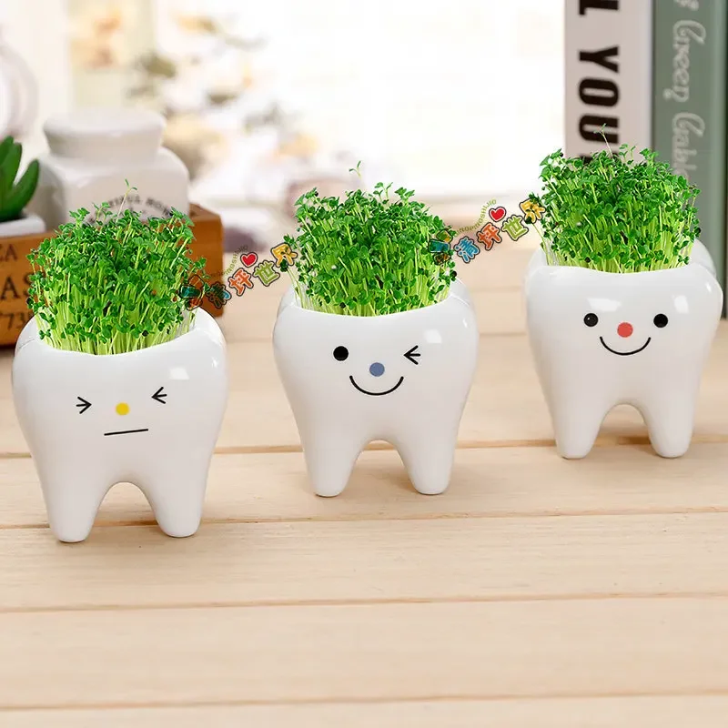 2024 New Ceramic Flowerpot Mini Tooth Shaped Cute Potted Plant Desktop Potted Creative Plant Pot Desk Decorate Small Ornament