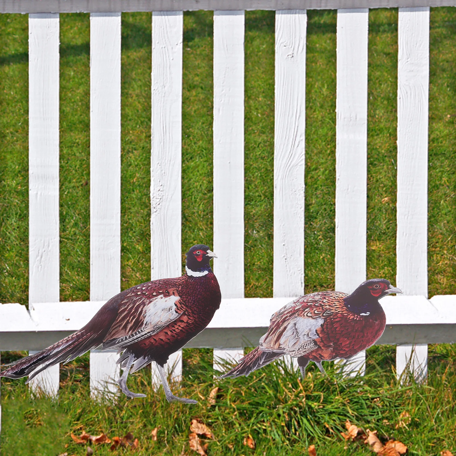 

2pcs Acrylic Garden Pheasant Stake Decor Lawn Yard Ground Inserted Animal Ornament Sign For Outdoor Decoration Stakes Backyard