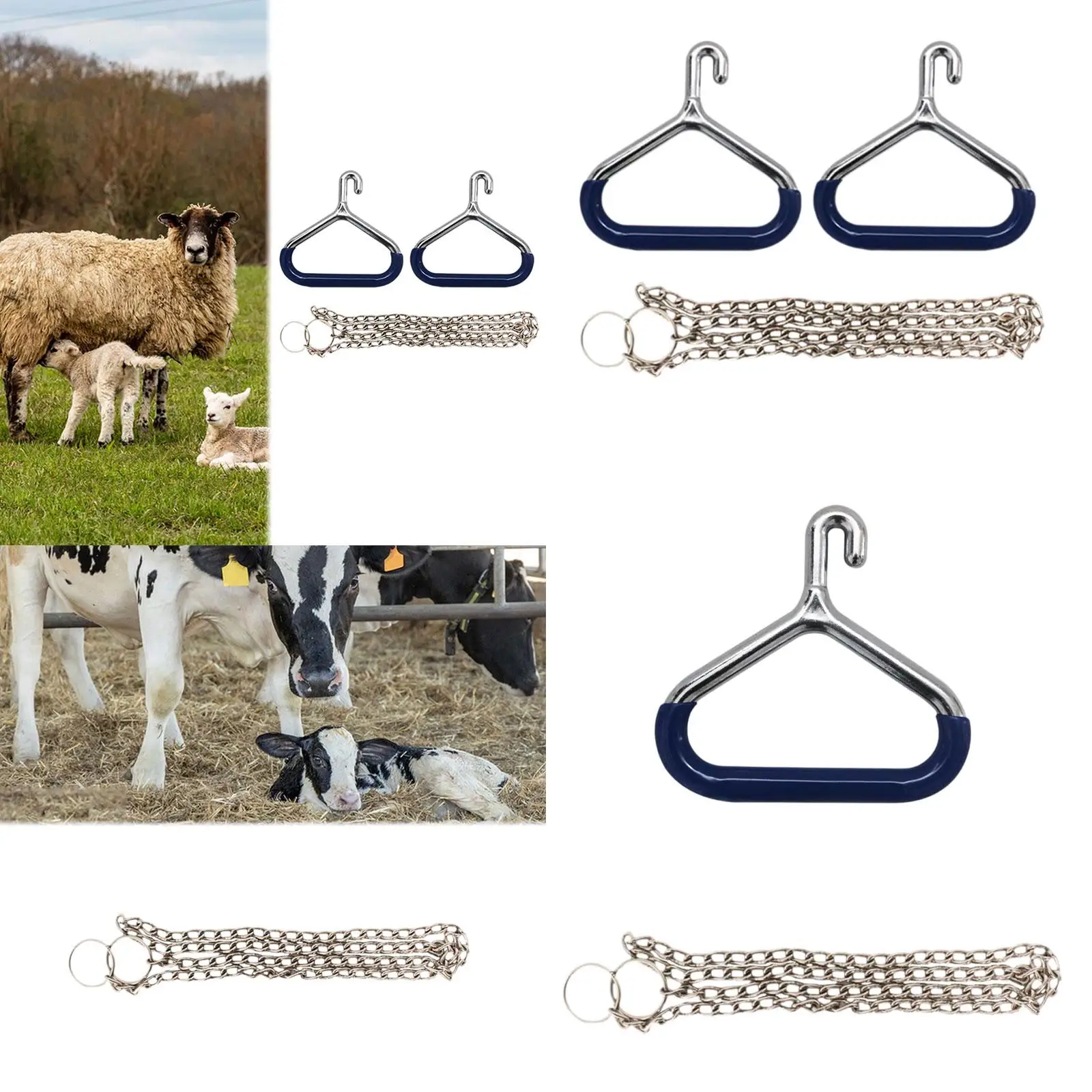 Aparato Ob de vaca, accesorios de acero inoxidable, herramienta veterinaria, cadena de 60 pulgadas