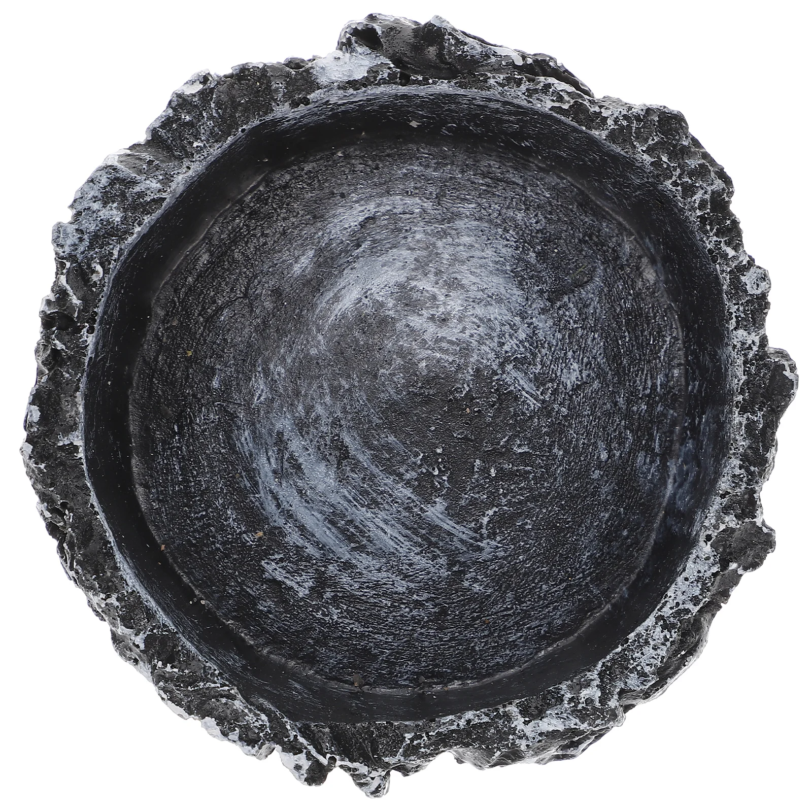 

Tortoise Water Small Round Bowl Reptile Food Container Habitat Accessories Crawling Pet Water Drinking Bowl Pet Feeding Bowls