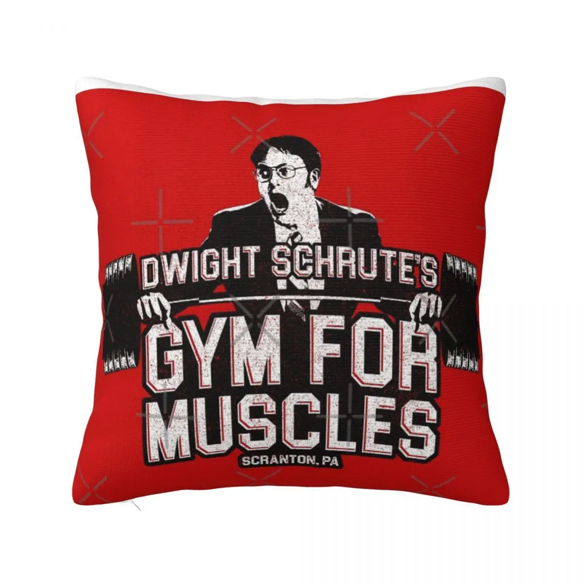 Dwight Schrute'S Gym For Muscles Pillow Ornamental Pillows Pillow Covers Decorative Pillow Case Pillow Cover