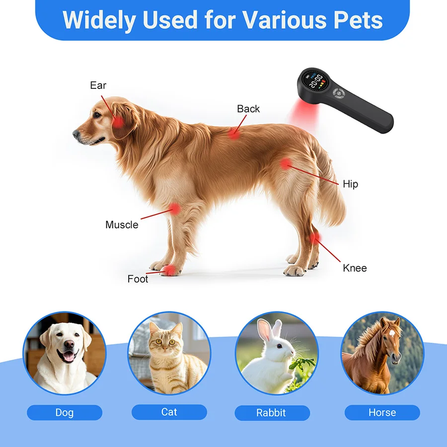 

NEW2026 Laser Therapy Device for Back Neck Shoulder Joint Pain TMJ Spine Treatment Cold Laser Physiotherapy Rehabilitation Equip