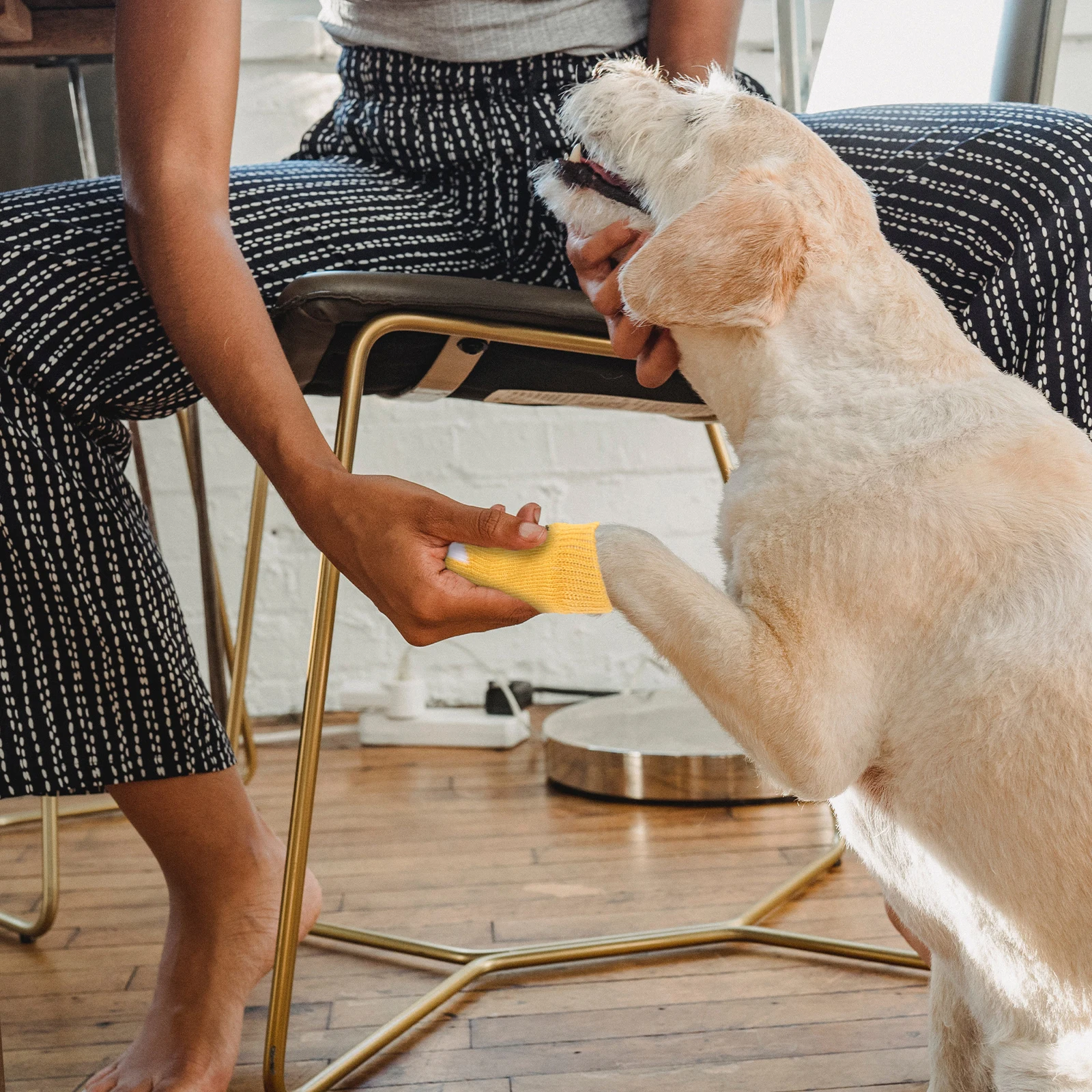 

4Pcs Pet Socks Cotton Based Anti Slip Grip for Dogs Size M Non Marking Soles Easy to Wear Fit Securely on Paws