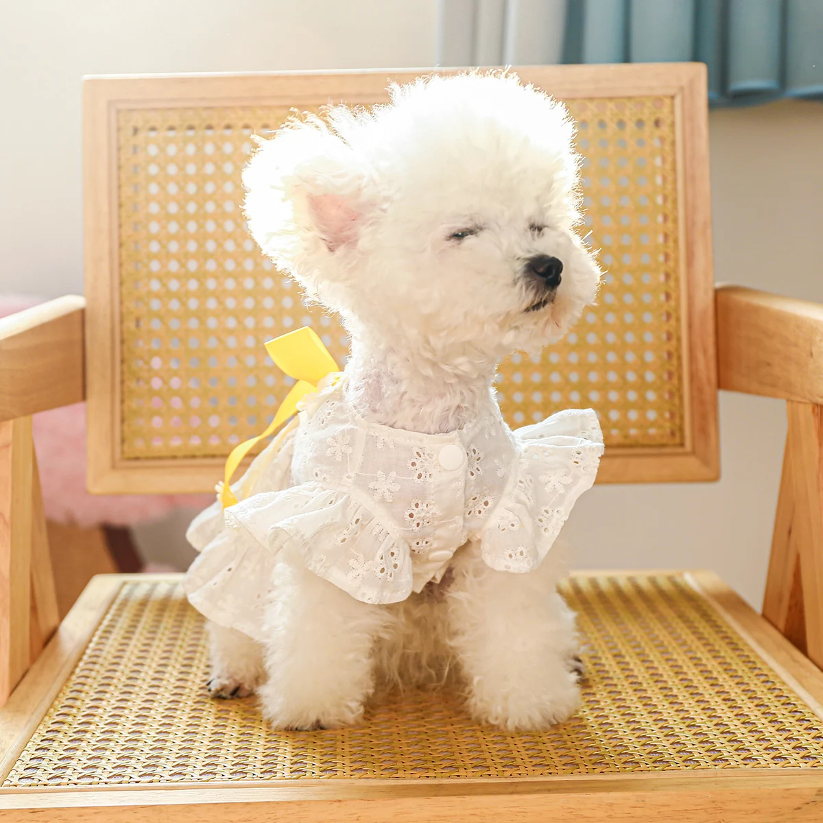 1PC Pet Clothing Dog Summer White Hollow Breathable Dress with Bow Knot Hollow out Suitable for Small and Medium sized Dogs