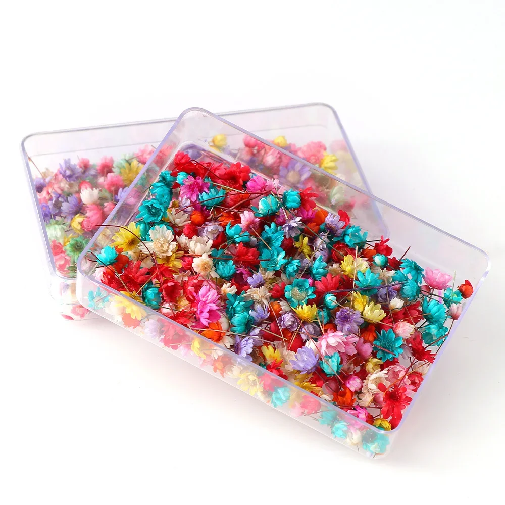 100/200PCS Dried Flowers Brazil Little Star Flower DIY Craft Epoxy Resin Candle Nail Art Epoxy Resin Filling Making Jewellery