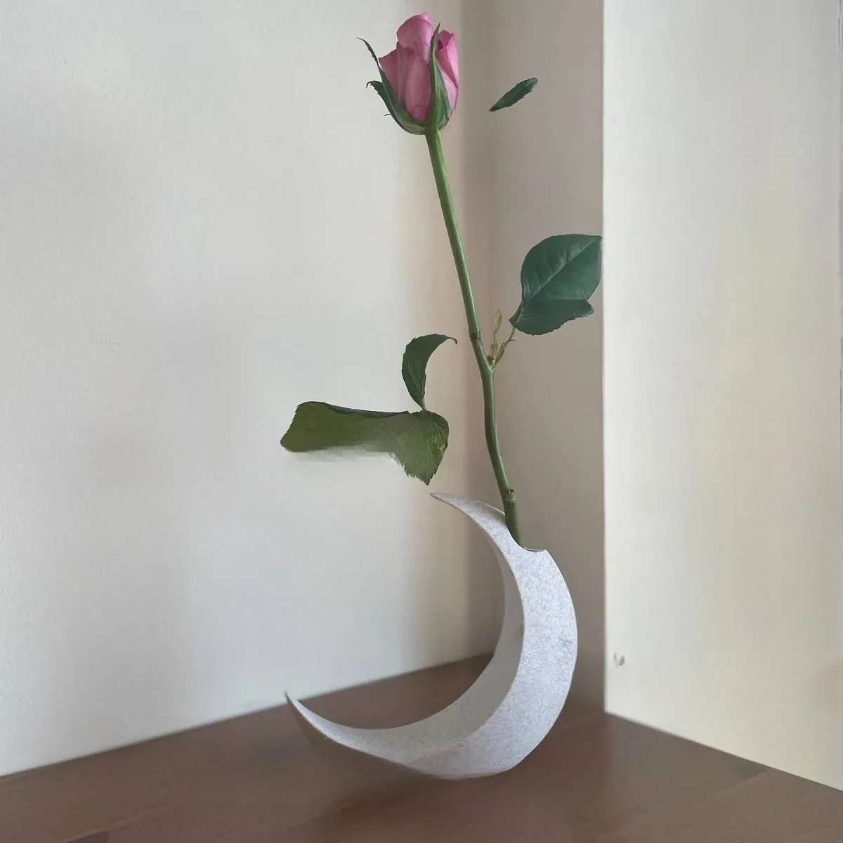 Simple moon vase home living room dining room decoration ornament flower pot decoration Valentine's Day gift