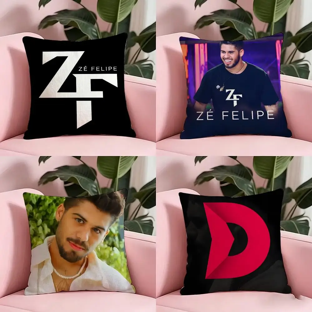 Celebrity z-Ze Felipe Cushion Cover Anti-dustmite Pillowcase Invisible zipper silky short plush Sofa cushion cover