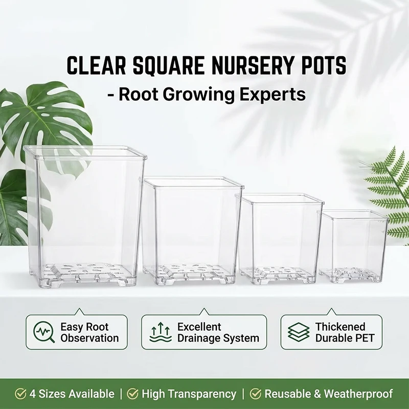Vaso de Acrílico Transparente Quadrado para Orquídea Phalaenopsis com Musgo Sphagnum, Vaso Decorativo para Casa