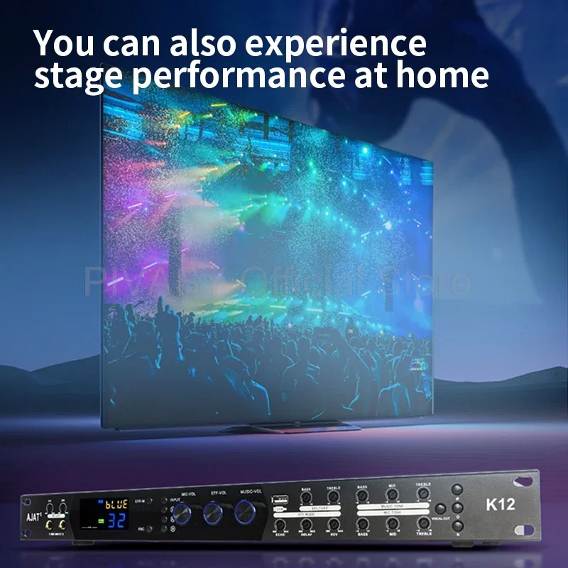 Digital Equaliser DSP Pre-Effects Profesional Equalizador Spectrum KTV LED Display Speakers Noise Reduction Audio Processor