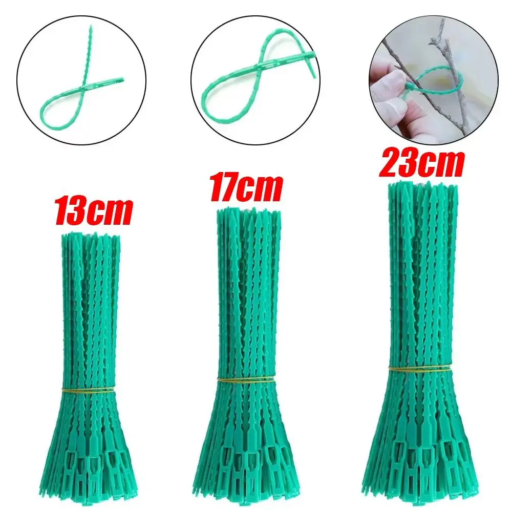 100Pcs 13/17/23cm Plant Cable Ties Reusable Adjustable Plant Stem Clip Nylon Garden Self-locking Cables Ties - view 6