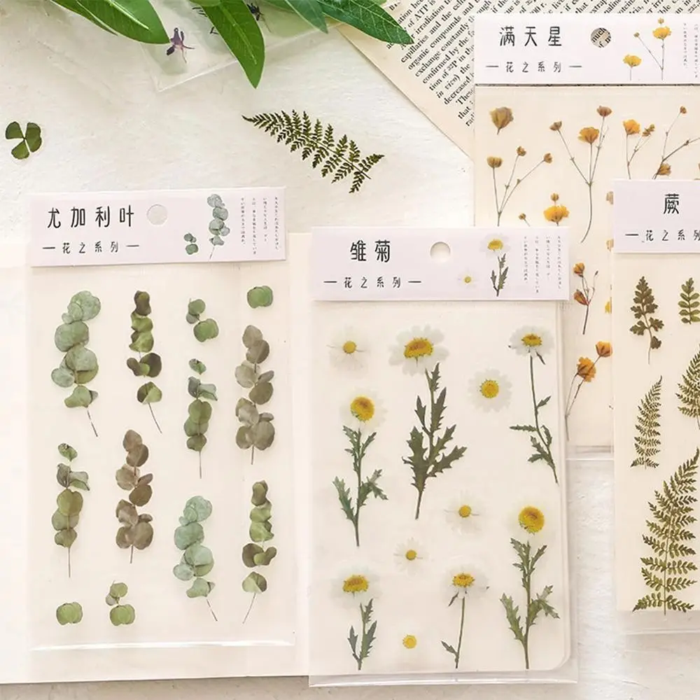 Eucalyptus PET Iris Flower Natural Plants Daisy Transparent  Sticker Clover Handbook Sticker Daisy Sticker Deco Sticker