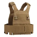 Coyote Brown