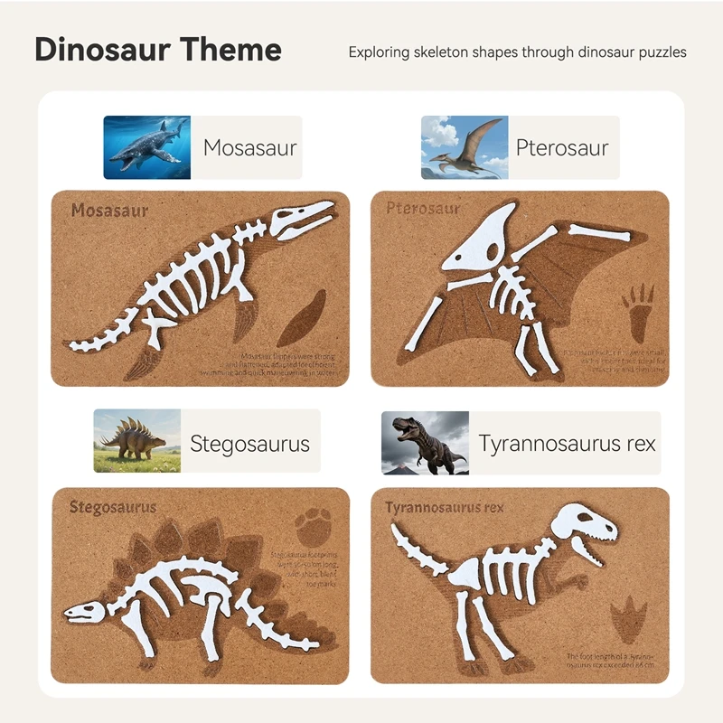 ألعاب مونتيسوري للأطفال والأم ألعاب أحفوري الديناصورات مناسبة للغاية للمستكشفين الصغارين لمحاكاة عظام الديناصورات الأحفورية