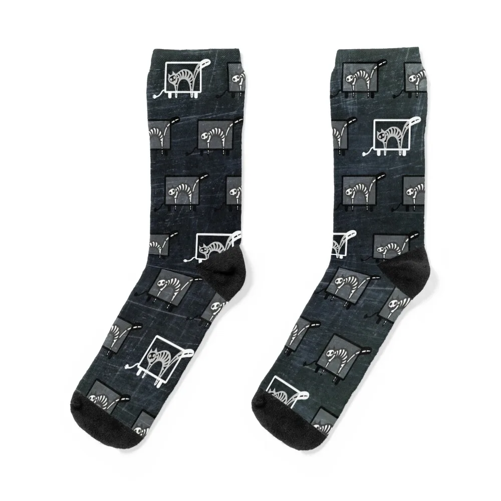

X-Ray Cat - Skeleton Kitty Socks anime gym Crossfit summer Man Socks Women's cartoon Non-slip Antiskid soccer Socks Female Men's
