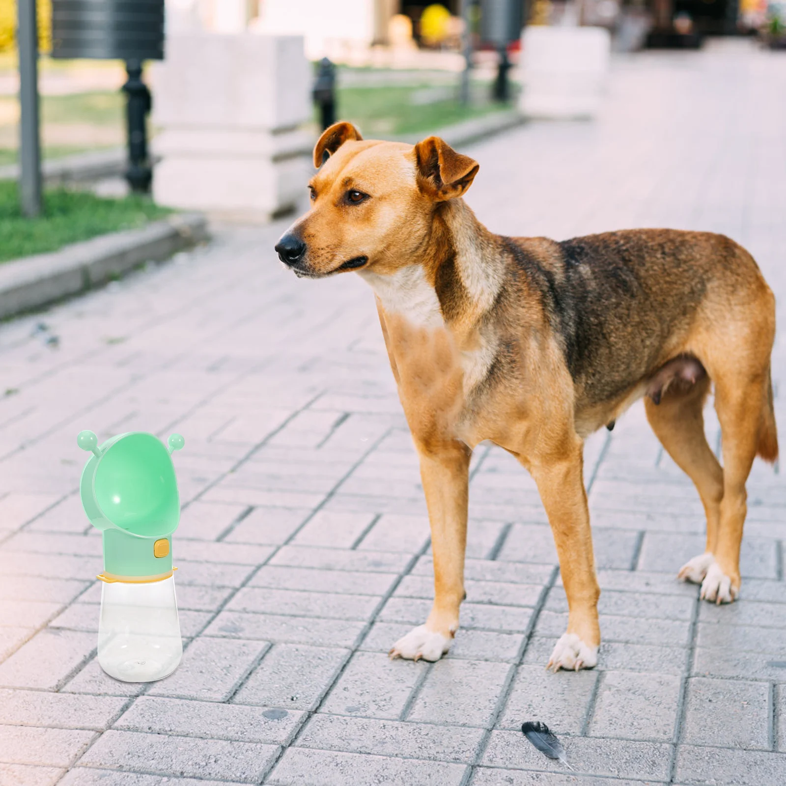 Portable Pet Cup 500ml Light Green Silica Dog Walking Water Bottle Gel Travel Dog Bottle Puppy Dispenser Hiking Outdoor