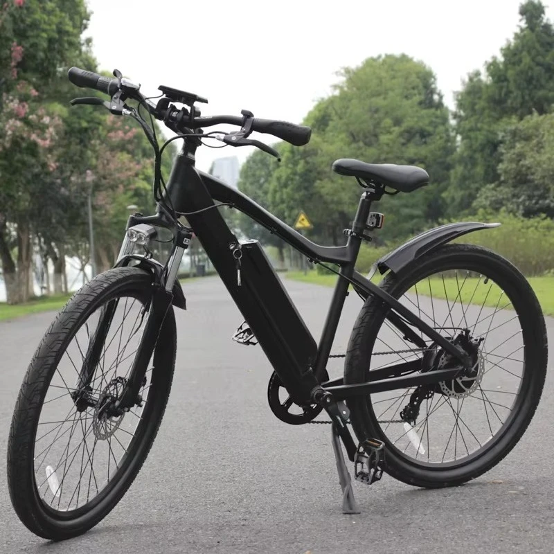 

SXLL 500W Rear Drive Lithium Battery Electric Bike E Bike 26 Inch Men's Electric Mountain Bike Adult
