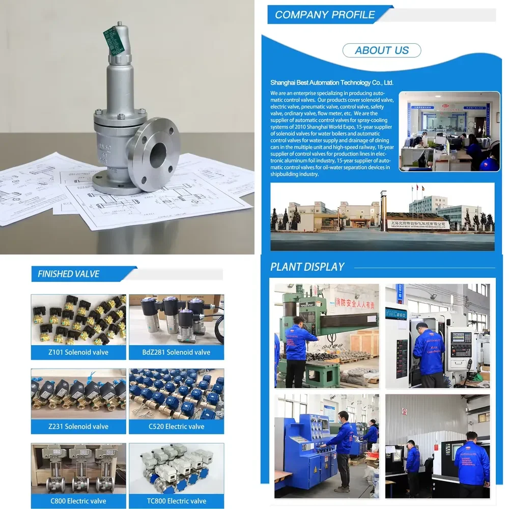 WSQ Valve High Pressure Pressure Relief Valves AQ204 Carbon Steel CS Stainless Steel SS Spring Loaded Flange Safety Valve