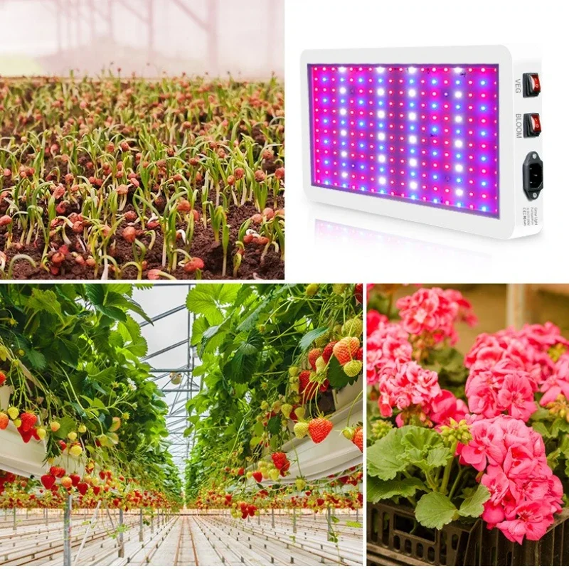 5000 W Bord LED Wachsen Licht Phyto Lampe Volle Spektrum LED Pflanzen Glühbirne Indoor 4000 W Phytolamp für blume Sämling Fitolamp