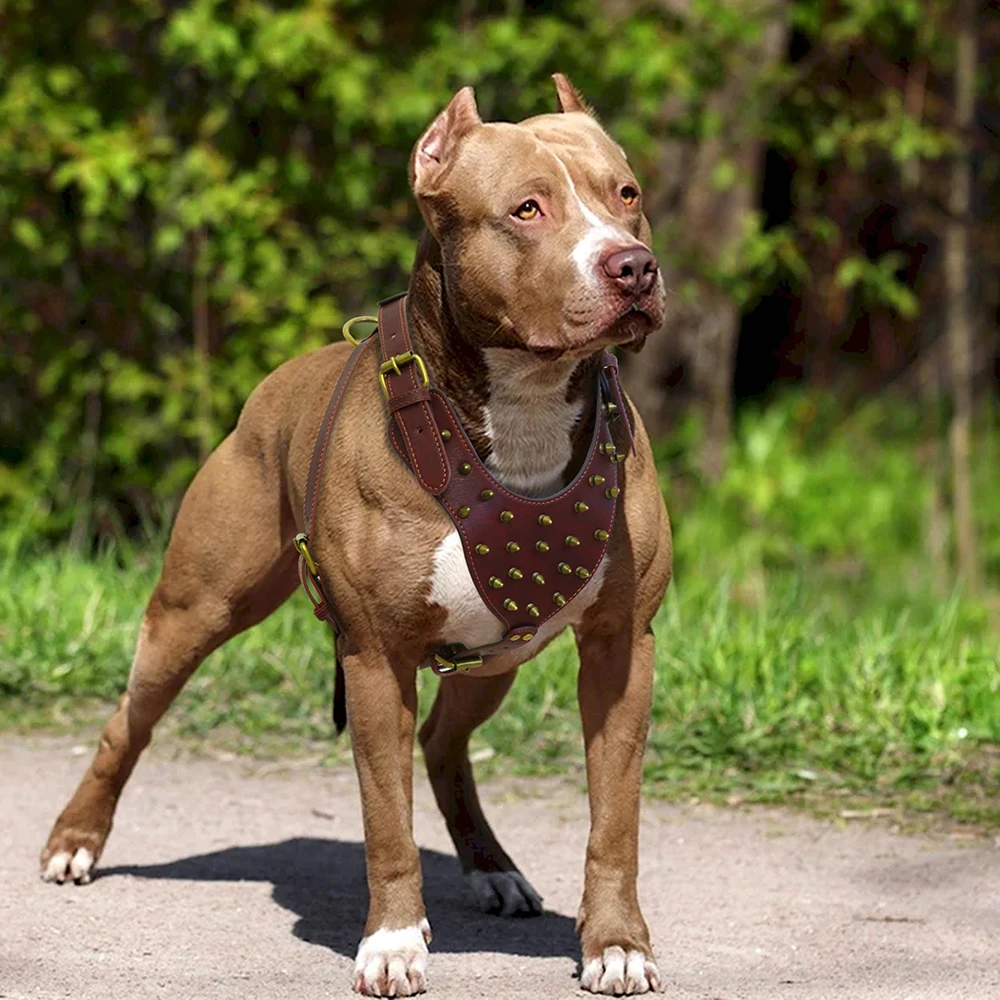 

Durable PU Leather Dog Harness for Big Dogs Adjustable Spiked Studded Dog Harnesses Vest for Medium Large Dogs Pitbull Bulldog