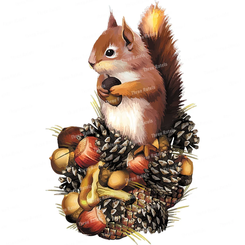 Three Ratels CO5 Cute little squirrel cartoon sticker for home decoration Ipad decals