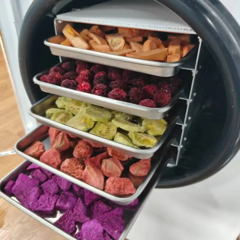 

Vegetable Home Fruit Vacuum Candy Lyophilizer Drying 10KG Food Freeze Dryer