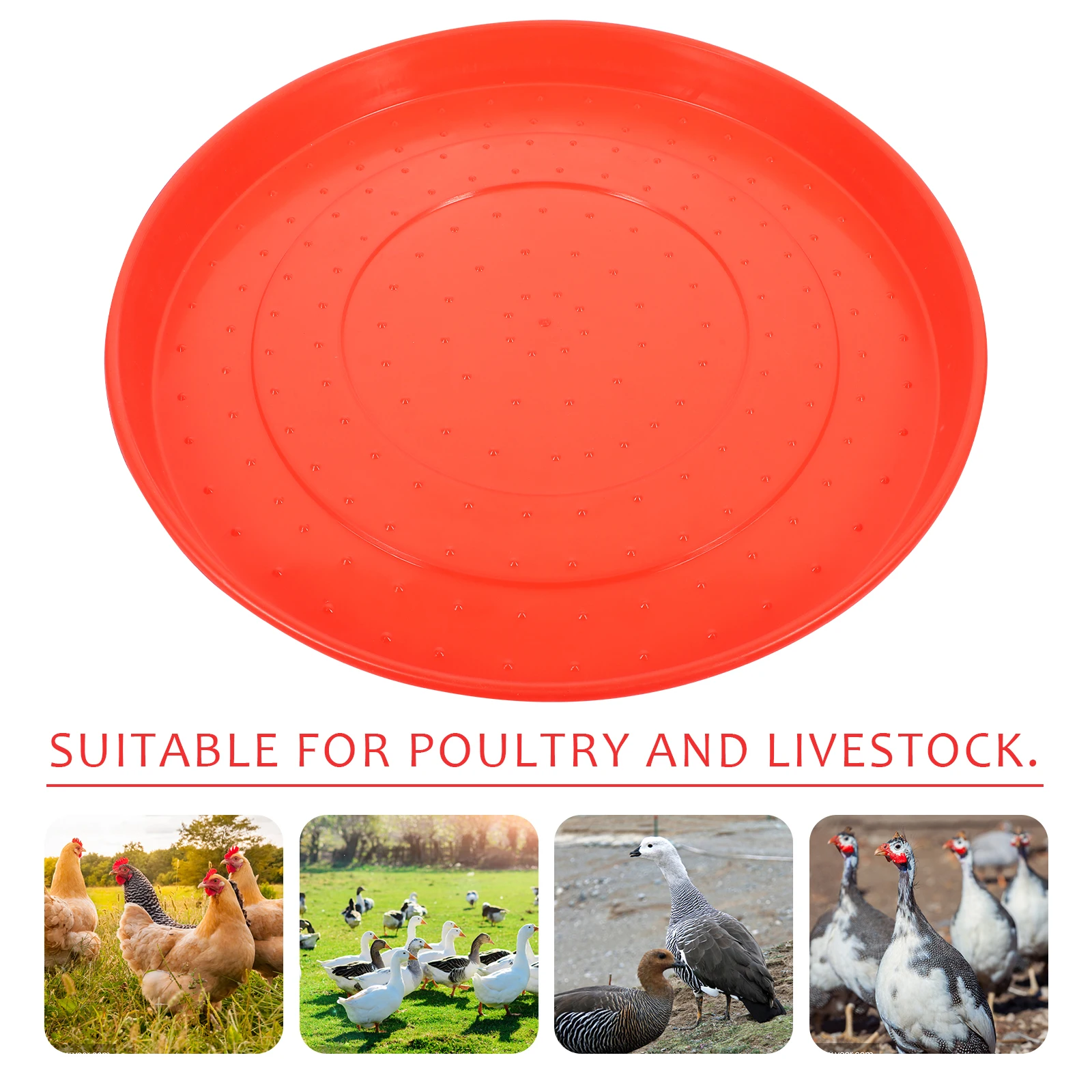 

2 Pcs Poultry Chicken Feeding Tray Tool Holding Plate Bird Feeder Plastic Round
