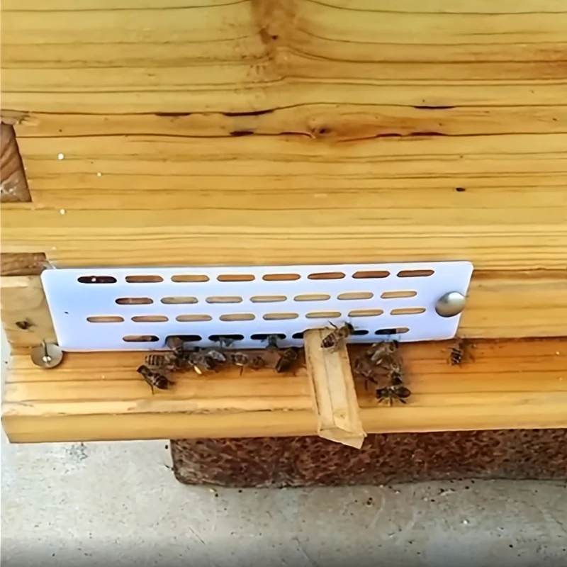 30Pcs Plastic Queen Anti‑Escape Frame Queen Excluder Board Anti‑Escape Piece For Chinese Bee Beehive Beekeeping Accessories