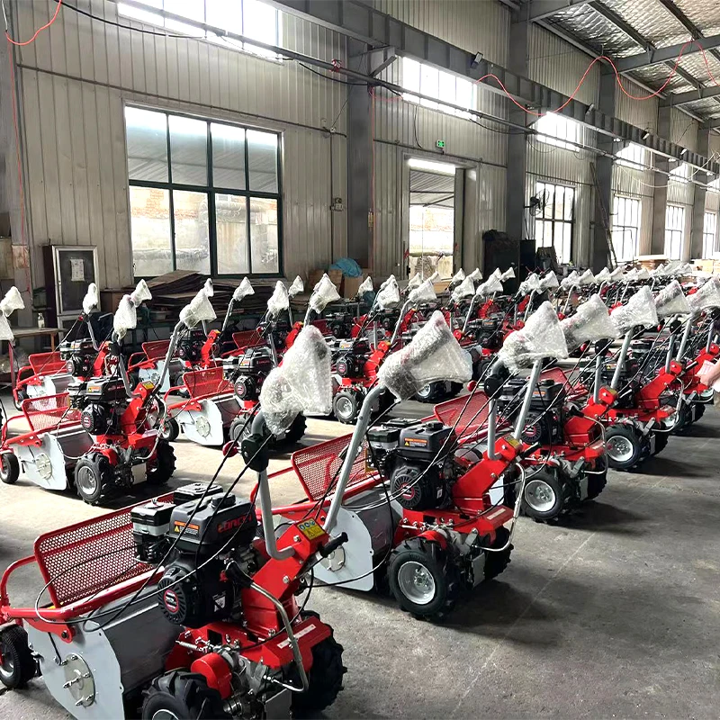 الزراعة المتضخم العشب حديقة اليد دفع Flail جزازة العشب الزاحف آلة قطع العشب الهيدروليكية