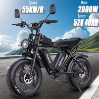 Electric bike Ridstar Q20PRO 2000W Dual motor 52V 40AH dual battery adult 20 inch Tire For Mountain off-road Electric bicycle