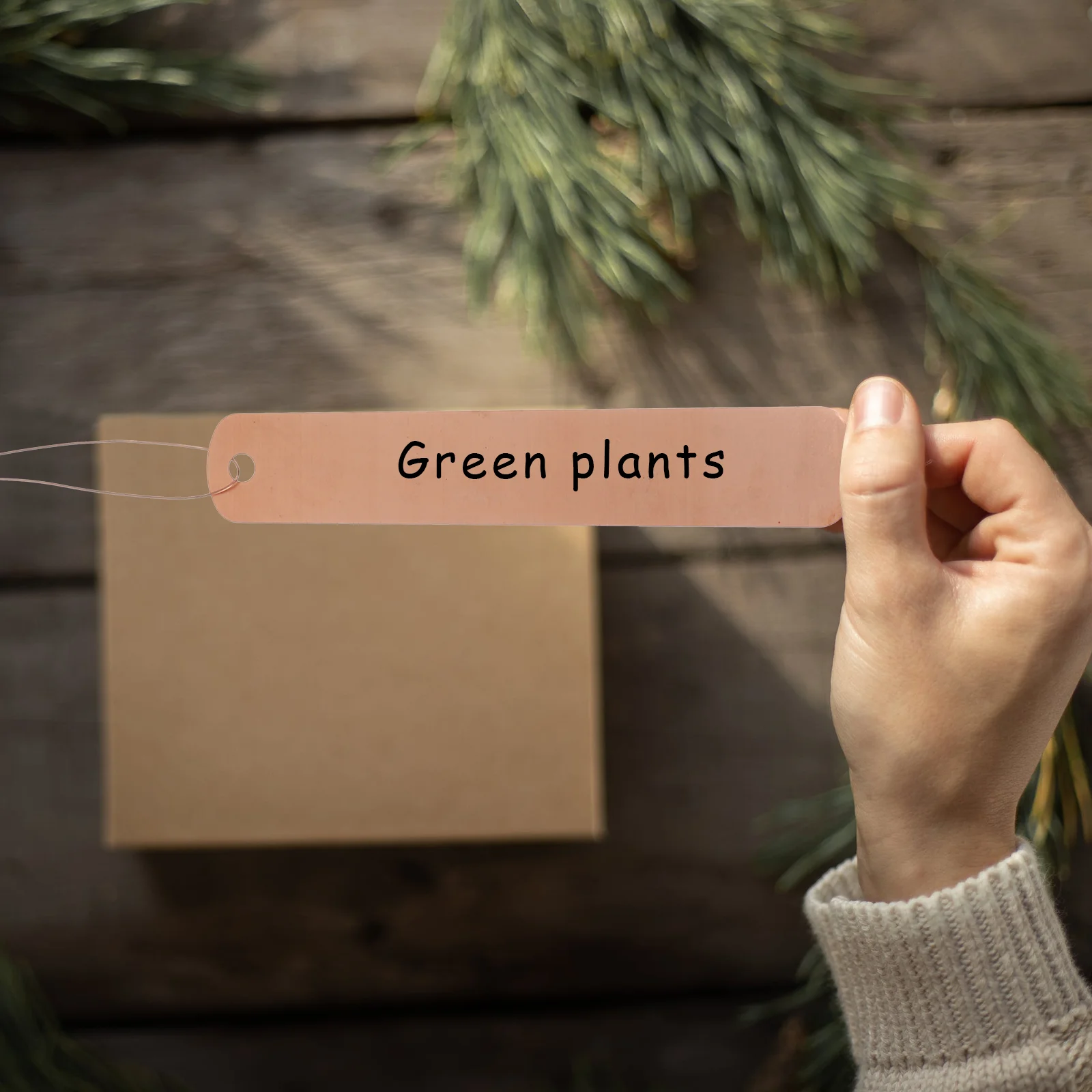 30 Sets Garten-Blumenetiketten, Kupferplatte, Kinderzimmer, Gartenarbeit, Hängeetiketten, Pflanzenetiketten