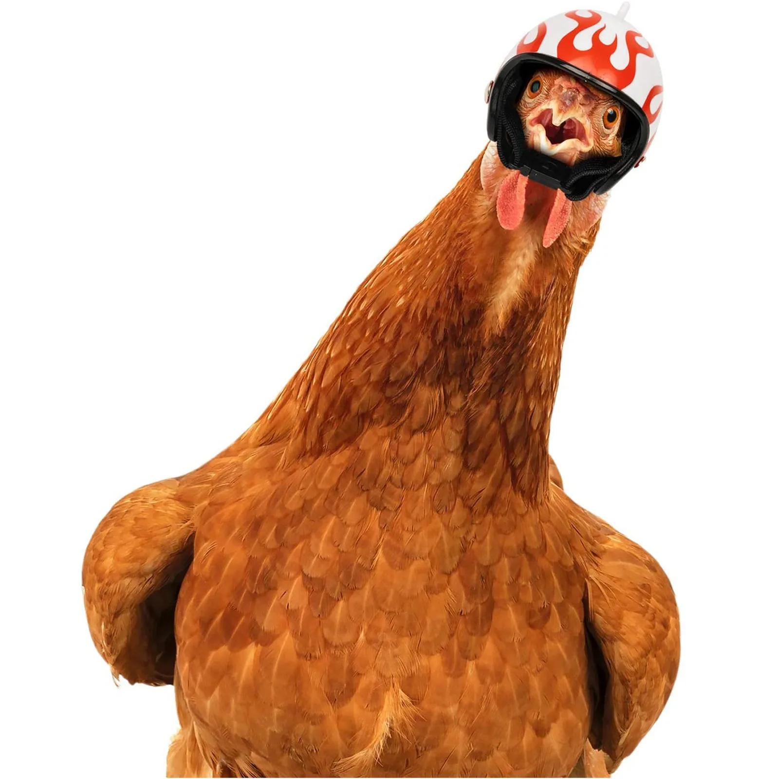 Casco de pollo para mascotas de granja, protección solar contra la lluvia, bonito sombrero para gallinas, equipo de protección para invernadero al aire libre, accesorios divertidos para luchar el pene, 4 Uds.