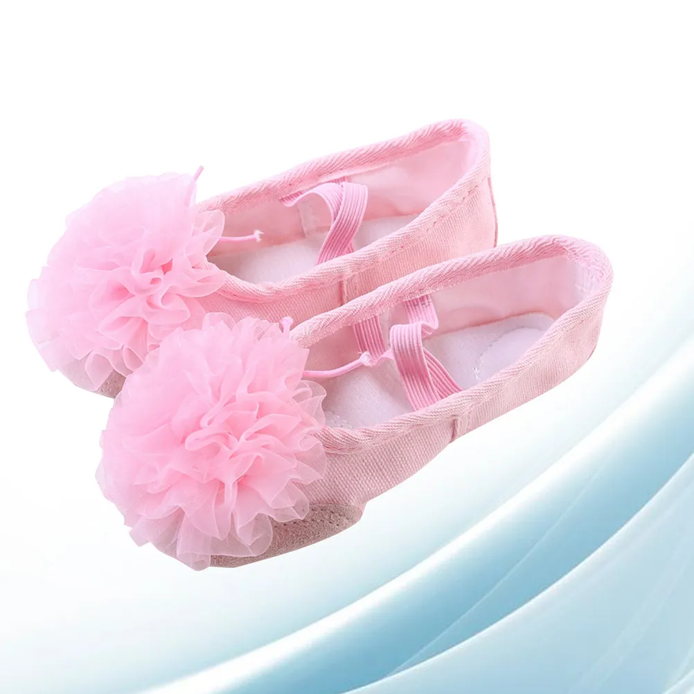 1Pair Kids Dance Shoes Ballet Shoes Elastic Band Non Slip Sole Breathable Modern Jazz Ballet Yoga Belly Dance Size 29