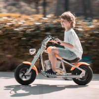 New Design Hyper Go Go Inch Electric Dirt Bike 24V for Kids Age 7-12