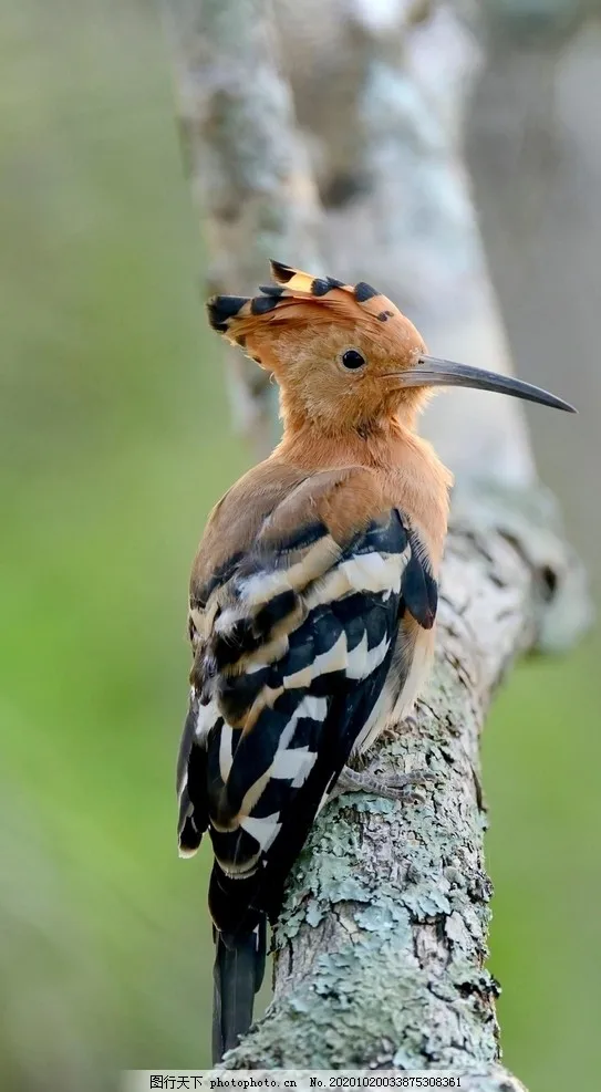 

Комплект из 4 металлических колесных дисков 1.9 Beadlock для радиоуправляемых краулеров 1:10 Axial SCX10, SCX10 II, 90046, AXI03007, D90, Yikong, Traxxas TRX4