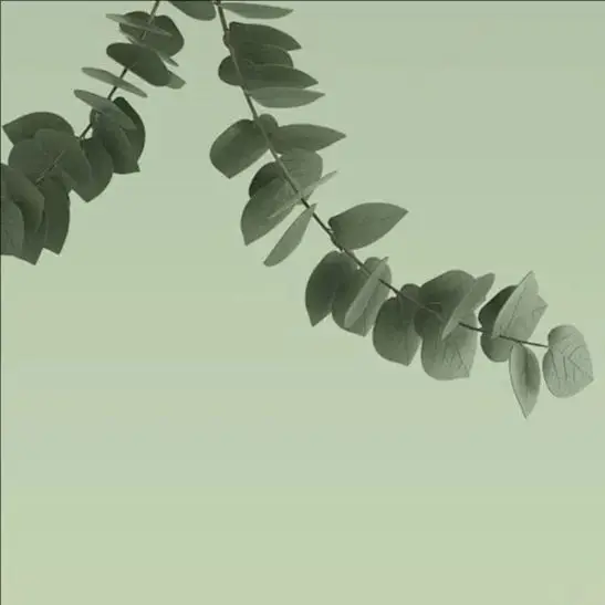 

24V 4.4/6.6/8.8/10.4AH Lithium Battery Pack for Carbon Fiber Scooter Special,Electric Scooter Battery