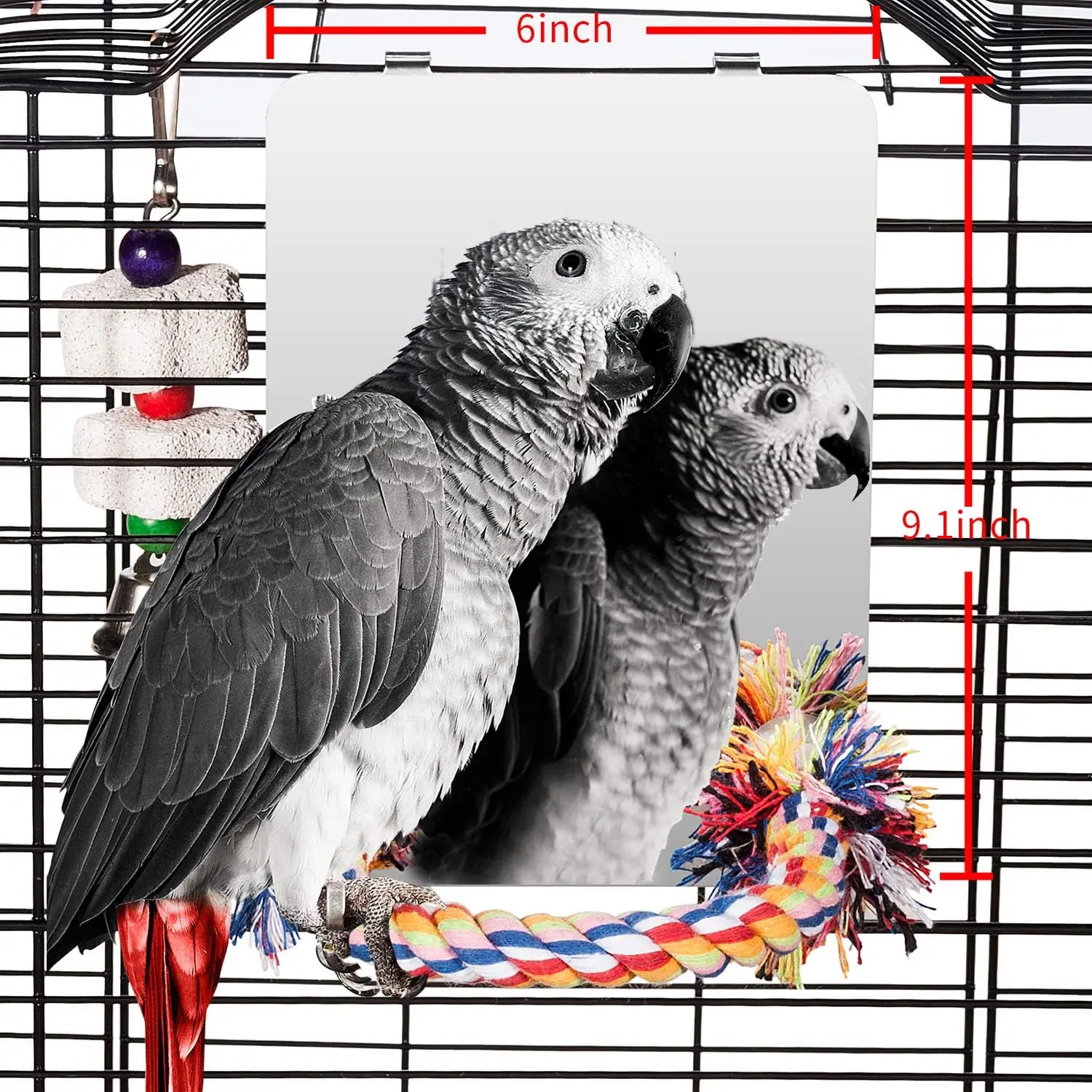 

9" Bird Mirror with Rope Perch, Bird Swing, Parrot Cage Toys for Parakeet African Grey Conure Cockatiel Lovebird Finch Canarie,