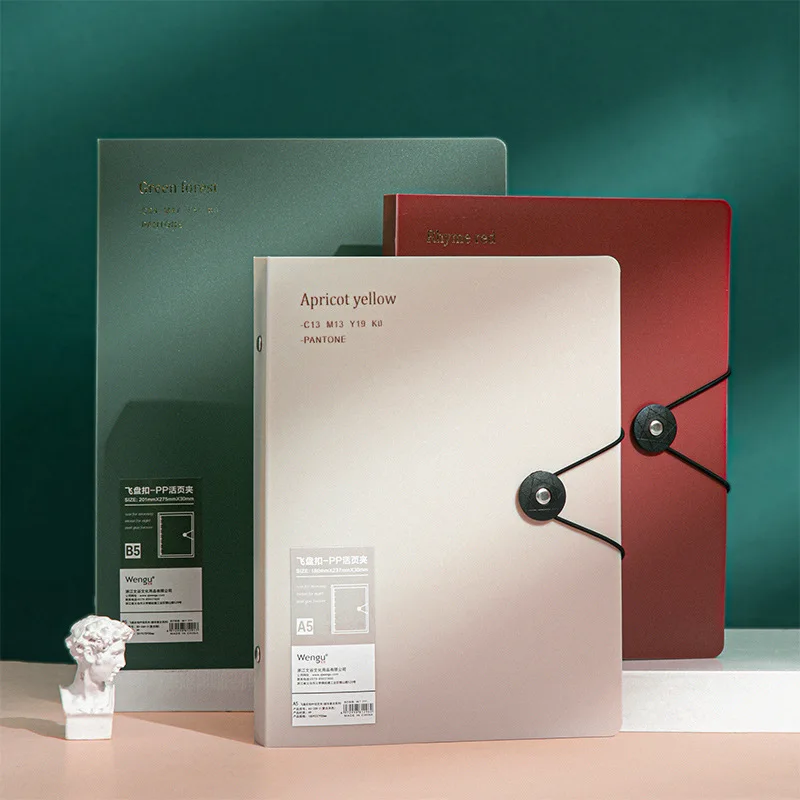 

A5 Removable Loose-leaf Book, Strap Binder Inner Core Shell Loose-leaf Book