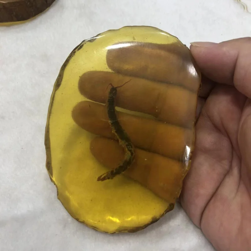 Antique Wholesale Antique Crafts Resin Amber Insect Dragonfly Knows Scorpion Crab Butterfly Specimens Ornaments