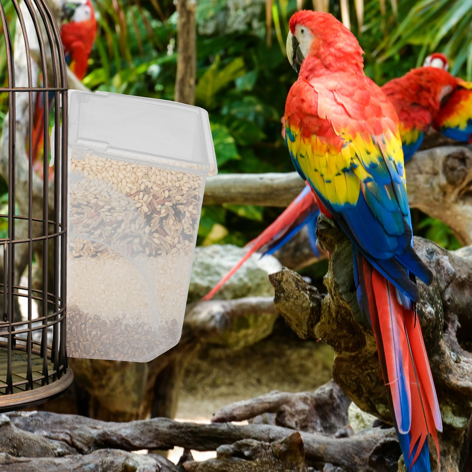 

Quail Cage Feeder Quail Feeder Pigeon Feeder Pigeon Supply Bird Cage Feeder Hanging Bird Feeder for Pigeon Feeding Cup