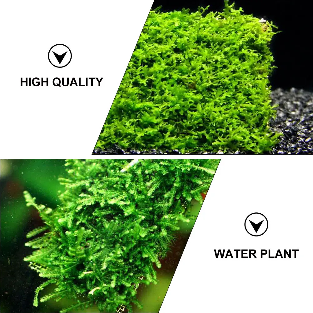 15Pcs Stainless Steel Wire Mesh Pads Aquarium Plant Fixed Net Fish Tank Water Grass Moss Carpet Net Aquarium Mesh Pad