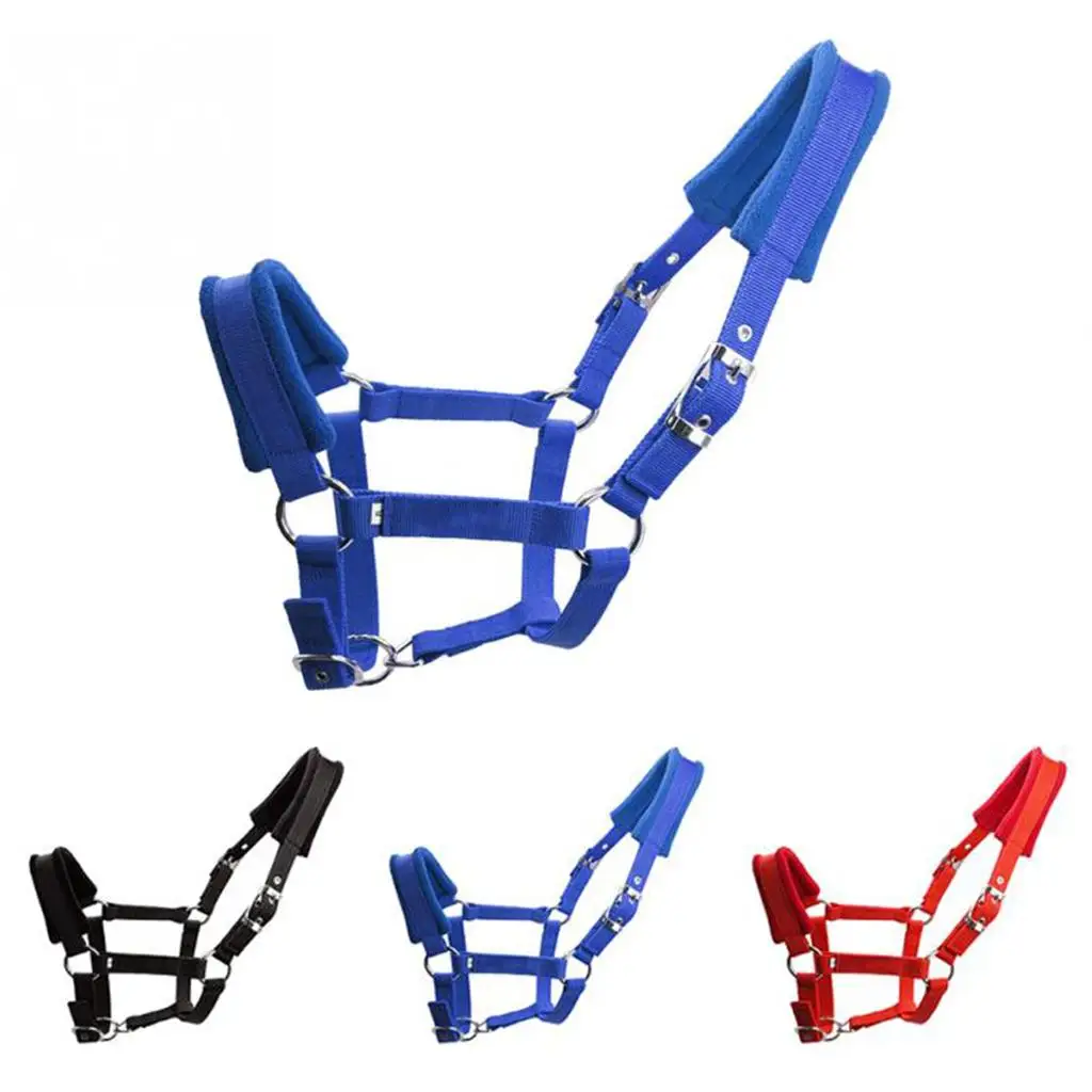 Premium Soft Cob Horse Halter Bridle Rein Equestrian Head Collar Equipment